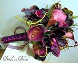 LovelyBride430