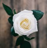 SeptemberBride19