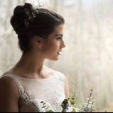Lauren
