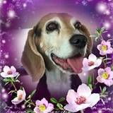 Mindy