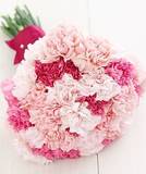 User1162551