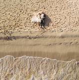 Sandy