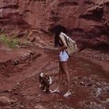 Haley