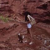 Haley
