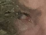 Carol