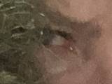 Carol