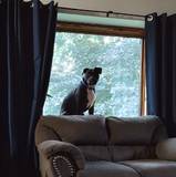 Katie