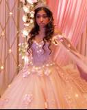 Anisha
