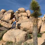 Allie