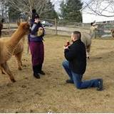 Eleni