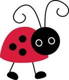 ladybug