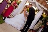 Mr. & Mrs. Mitrani