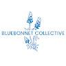 Bluebonnet