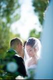 Greis