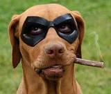 The Awesome Thief