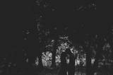 Savannah