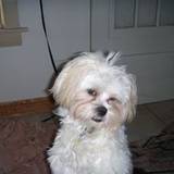 Amy