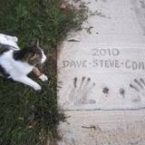 David