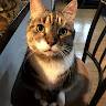 Fiona