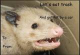 Possum