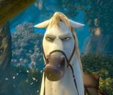 french horse