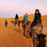 Farhana