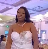 Shamel
