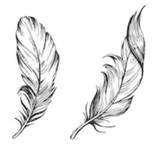 m2386m