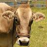 Donnaclyde47