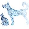 Paws