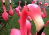 lawn_flamingo