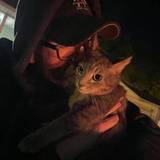 Daniel