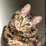 Josephine