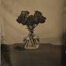 Rielynn
