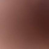 L.B