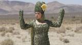 Sexy Fashion Cactus