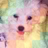 Jenny