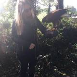 allison
