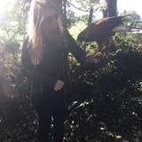 allison