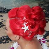 Kitten