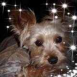 Millie