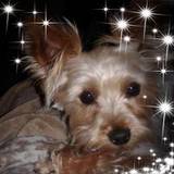 Millie