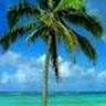 Oceanseast7