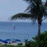 Jaclyn