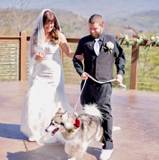 Marriageshewrote410