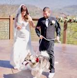 Marriageshewrote410