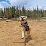 Brody