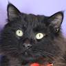 Colleen