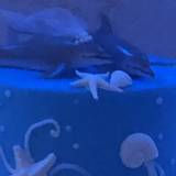 Gloria