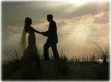 spambride